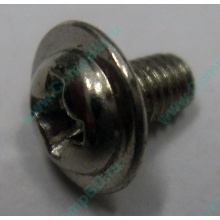 Компьютерный винт "малый" PW-M3x6mm (Магнитогорск)