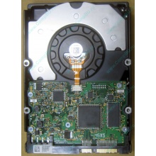 HDD Sun 500G 500Gb в Магнитогорске, FRU 540-7889-01 в Магнитогорске, BASE 390-0383-04 в Магнитогорске, AssyID 0069FMT-1010 в Магнитогорске, HUA7250SBSUN500G (Магнитогорск)