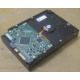 Жесткий диск HP 250Gb 7200 rpm 432337-001/ 399699-001 / 397377-004 (Магнитогорск)