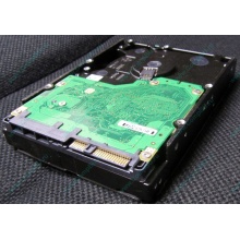 Жесткий диск 600Gb 15k Dell 9FN066-008 6G SAS ( Seagate Cheetach ST3600057SS 15K.7) - Магнитогорск