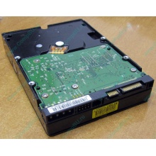Б/У жёсткий диск 400Gb WD WD4000YR Caviar RE2 7200 rpm SATA  (Магнитогорск)