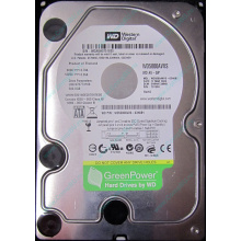 Б/У жёсткий диск 500Gb Western Digital WD5000AVVS (WD AV-GP 500 GB) 5400 rpm SATA (Магнитогорск)
