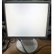 Монитор 17" TFT Nec MultiSync LCD175VXM+ бело-серебристый (Магнитогорск)