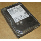 HDD 500Gb Hitachi HDS721050DLE630 донор на запчасти (Магнитогорск)