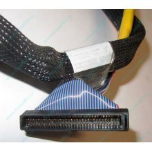 Кабель SCSI HP 166298-037 для HP ML370 G4 (Магнитогорск)
