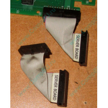 Шлейф 24pin 6017B0045701 для Intel C74974-401 T0043401-B01 (Магнитогорск)