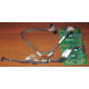 Корзина 59P5159 24P2578 IBM X225 / X226 / X235 / X255 / X266 xSeries servers FRU59P5159 FRU24P2578 (Магнитогорск)
