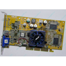 Видеокарта Asus V8170 64Mb nVidia GeForce4 MX440 AGP Asus V8170DDR (Магнитогорск)