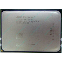 AMD Opteron 6128 OS6128WKT8EGO (Магнитогорск)