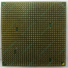 Процессор AMD Sempron 3000+ (1.6GHz) SDA3000IAA3CN s.AM2 (Магнитогорск)
